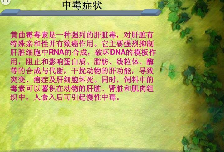 六、黃曲霉毒素對(duì)人和動(dòng)物有哪些危害？