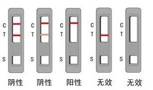 膠體金試紙條法