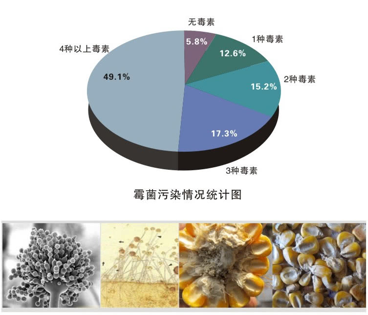 霉菌毒素