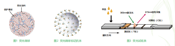 時(shí)間分辨熒光納米微球標(biāo)記技術(shù)