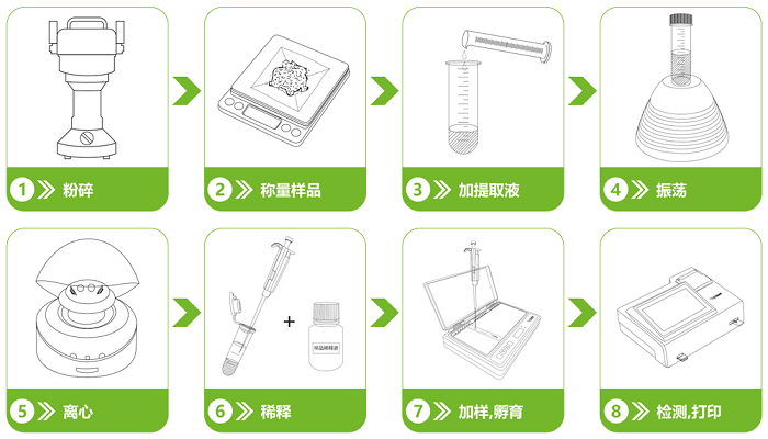 中藥材噻蟲嗪熒光定量快速檢測卡檢測流程