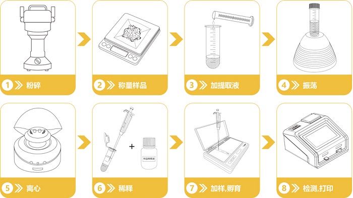 玉米赤霉烯酮快速檢測卡檢測流程