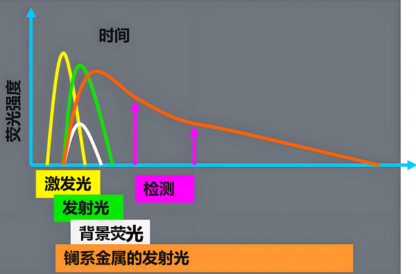 真菌毒素檢測